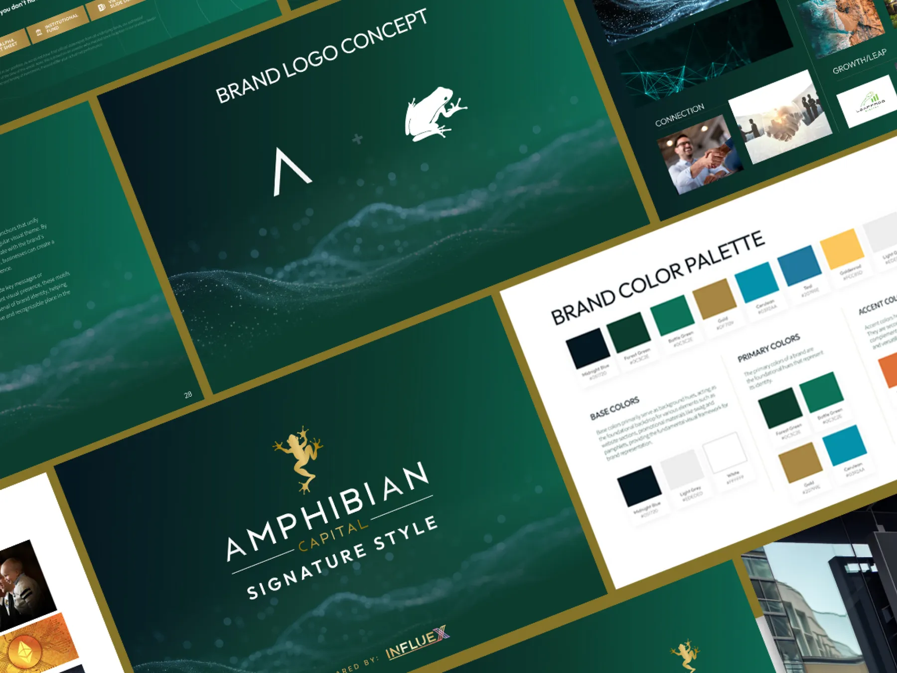 Brand identity for Amphibian Capital