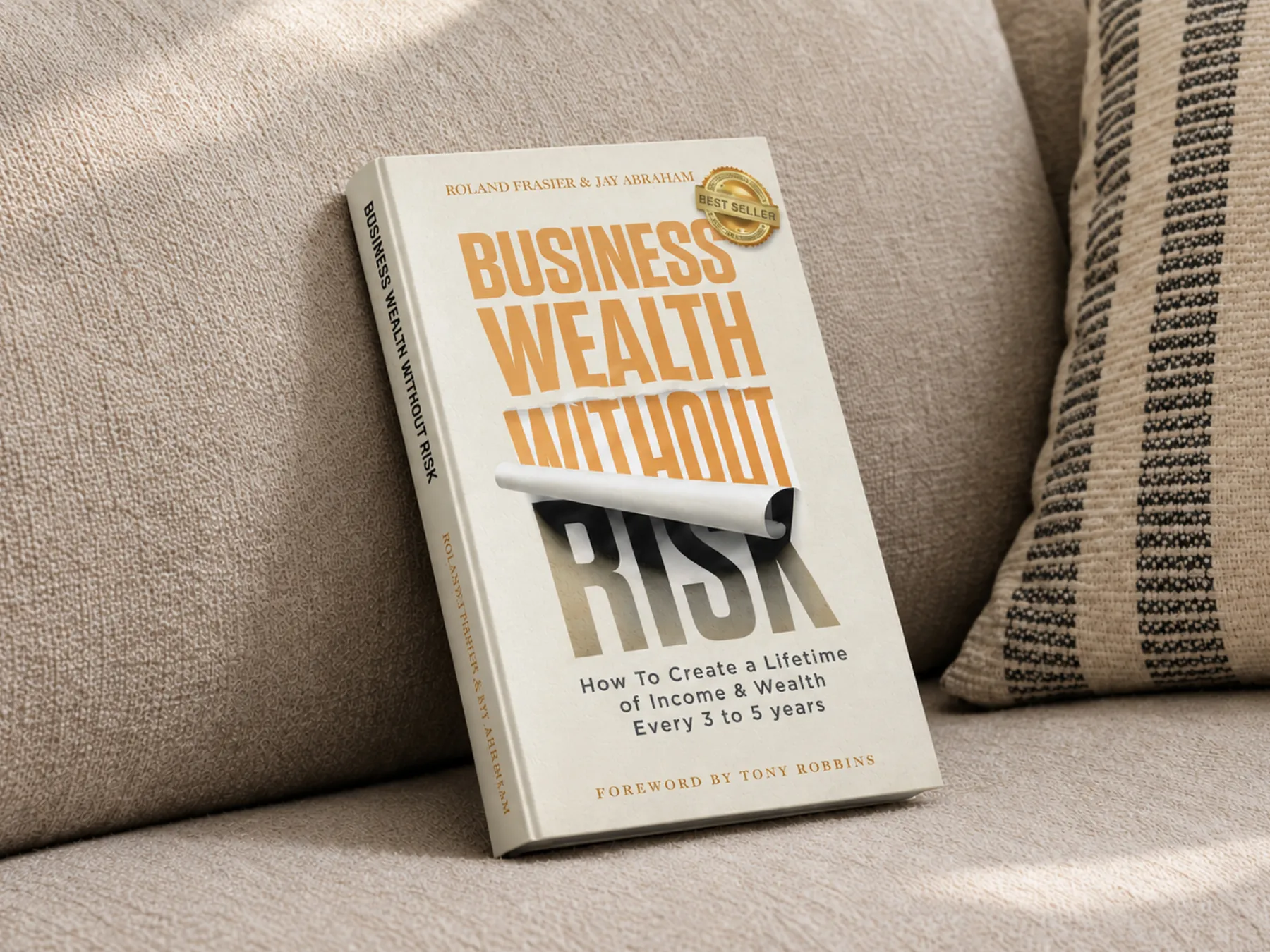 Book cover design for Business Wealth Without Risk
